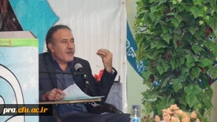 کرسی هم اندیشی