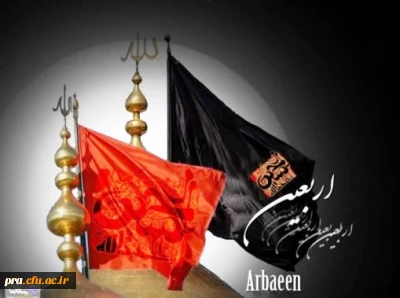 السلام علیک یا أباعبدالله* وعلی الارواح التی حلت بفنائک علیکم منی جمیعا