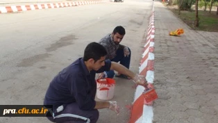 زیبا سازی فضای پردیس