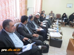 شورای فرهنگی