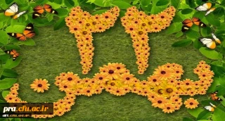 دهه فجر گرامی باد