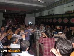 ایام سوگواری فاطمیه(س)