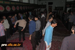 عزاداری ایام فاطمیه