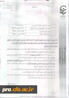 ترم تابستان