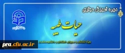 حیات طیبه