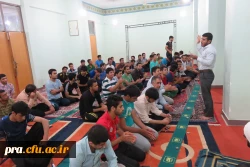 ولات حضرت زهرا س