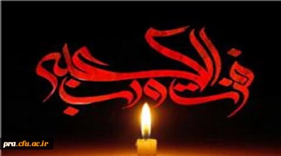 ایام شهادت مولای متقیان حضرت امام علی(ع) تسلیت باد