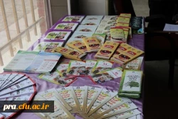 گردهمایی سفیران سلامت