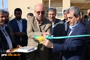 افتتاحیه چمن مصنوعی