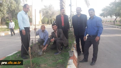 روز درختکاری