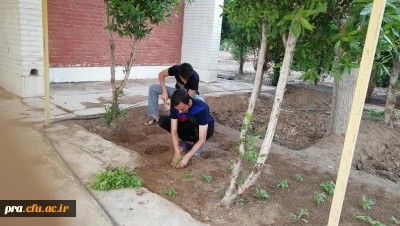 گل کاری فضای سبز