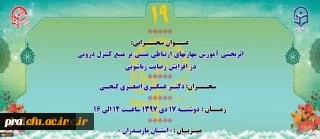 پژآهنگ نوزدهم برگزار می شود