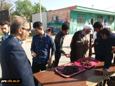 یکشنبه ها با مهدی موعود