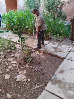 کاشت نهال به مناسبت هفته تربیت بدنی در پردیس حضرت رسول اکرم(ص) خوزستان 