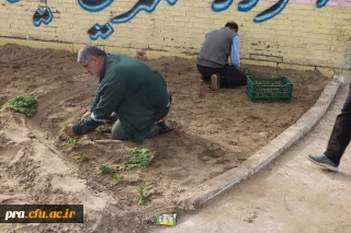 طرح کاشت نهال و گل کاری در پردیس حضرت رسول اکرم (ص) خوزستان