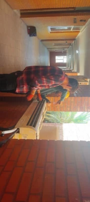 آماده سازی سراهای دانشجویی برای ترم تابستان و ترم جدید تحصیلی 4