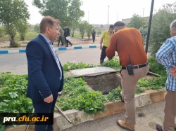 عملیات لایروبی فافضلابها  و جدول کشی بلوارهای داخلی پردیس  7