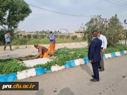 عملیات لایروبی فافضلابها  و جدول کشی بلوارهای داخلی پردیس  9