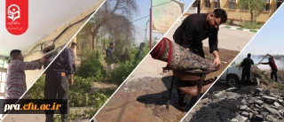 گزارش تصویری