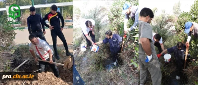 گزارش تصویری

تعویض لوله آب شرب توسط همکاران زحمتکش پردیس حضرت رسول اکرم(ص)