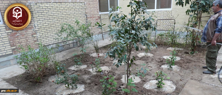 خرید و کاشت نهال های زینتی در محیط پردیس حضرت رسول اکرم(ص) 4