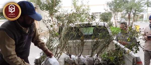 خرید و کاشت نهال های زینتی در محیط پردیس حضرت رسول اکرم(ص) 5