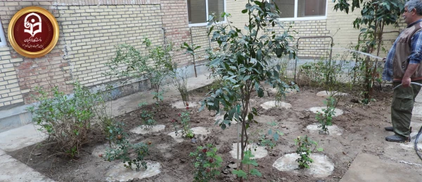 خرید و کاشت نهال های زینتی در محیط پردیس حضرت رسول اکرم(ص) 2