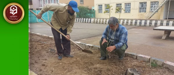 گل کاری در مرکز دکتر حسابی 2