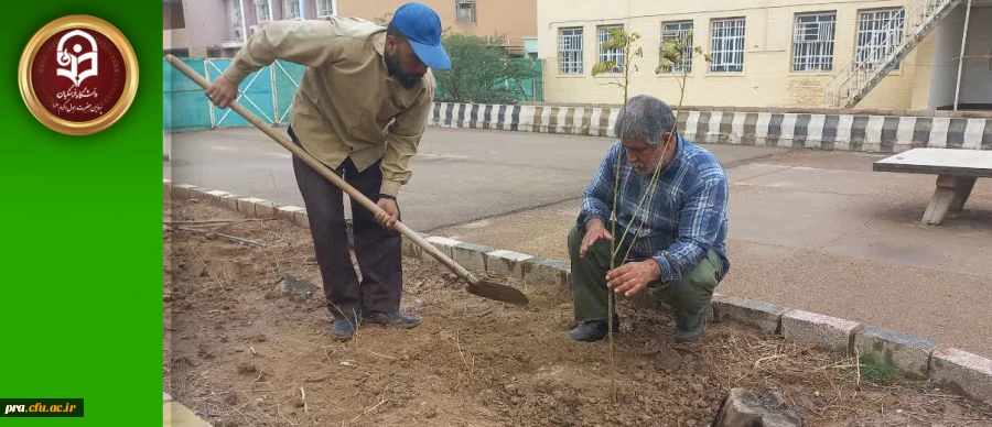 گل کاری در مرکز دکتر حسابی 2