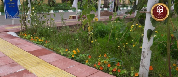 اجرای سنگ فرش در ورودی و محیط پردیس حضرت رسول اکرم(ص)  3